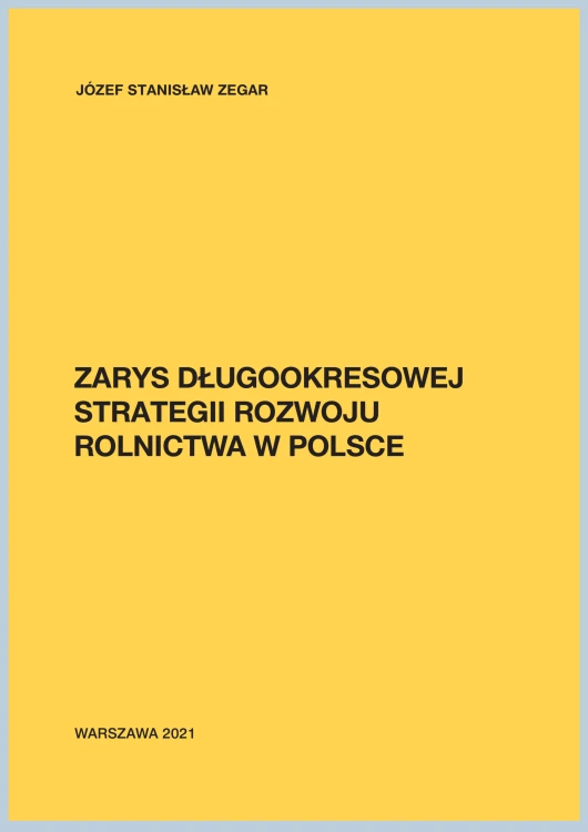 zarys-strategii-2021.jpg